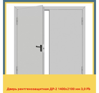 Дверь рентгенозащитная ДР-2 1400х2100 мм 3,0 Pb