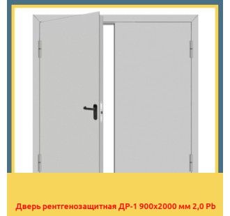 Дверь рентгенозащитная ДР-1 900х2000 мм 2,0 Pb в Астане