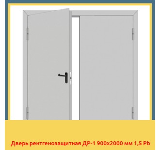 Дверь рентгенозащитная ДР-1 900х2000 мм 1,5 Pb в Астане