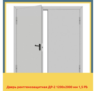 Дверь рентгенозащитная ДР-2 1200х2000 мм 1,5 Pb в Астане