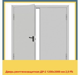 Дверь рентгенозащитная ДР-2 1200х2000 мм 2,0 Pb в Астане