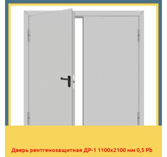 Дверь рентгенозащитная ДР-1 1100х2100 мм 0,5 Pb